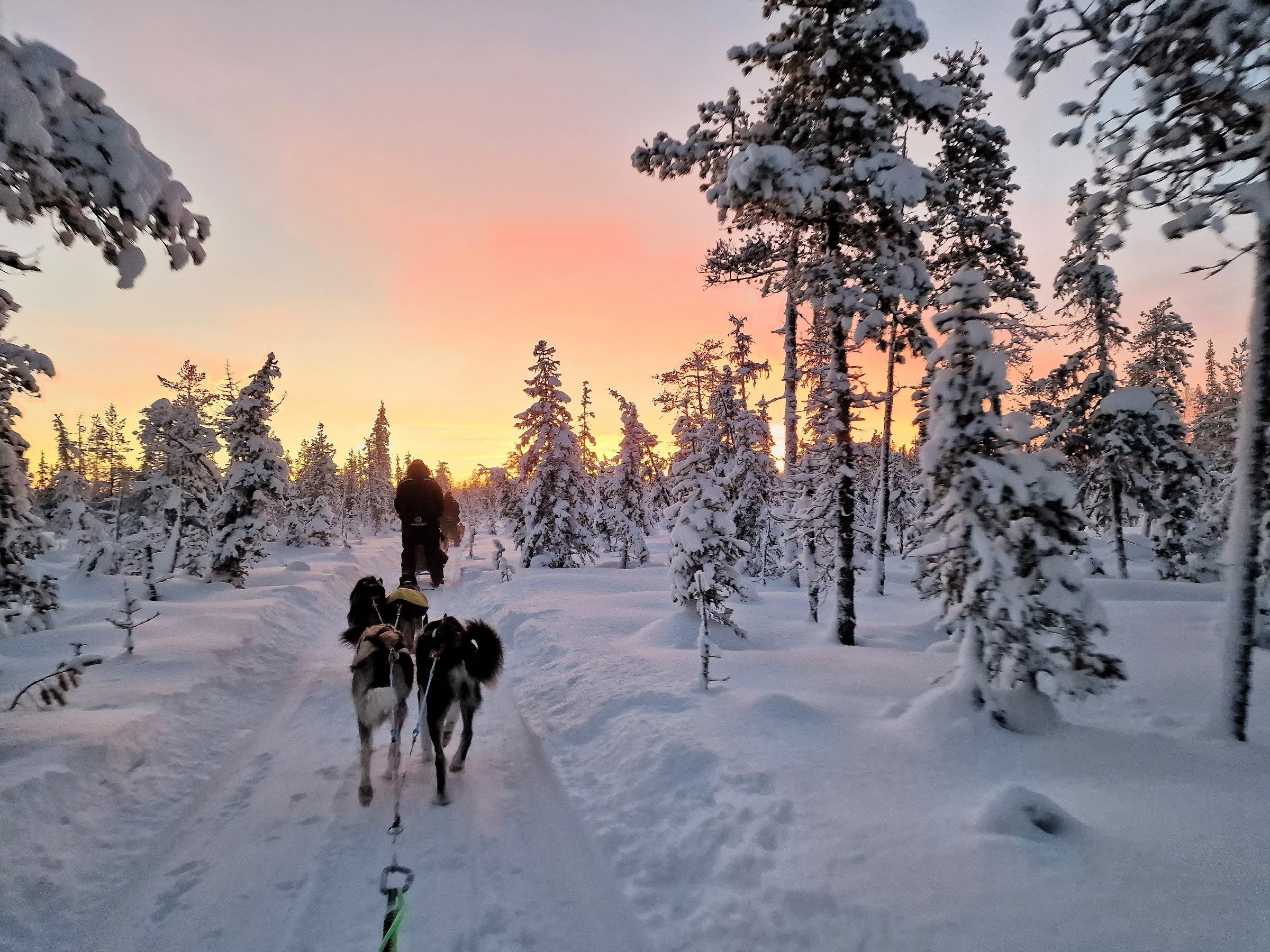 Grand Arctic Resort Husky Kennel